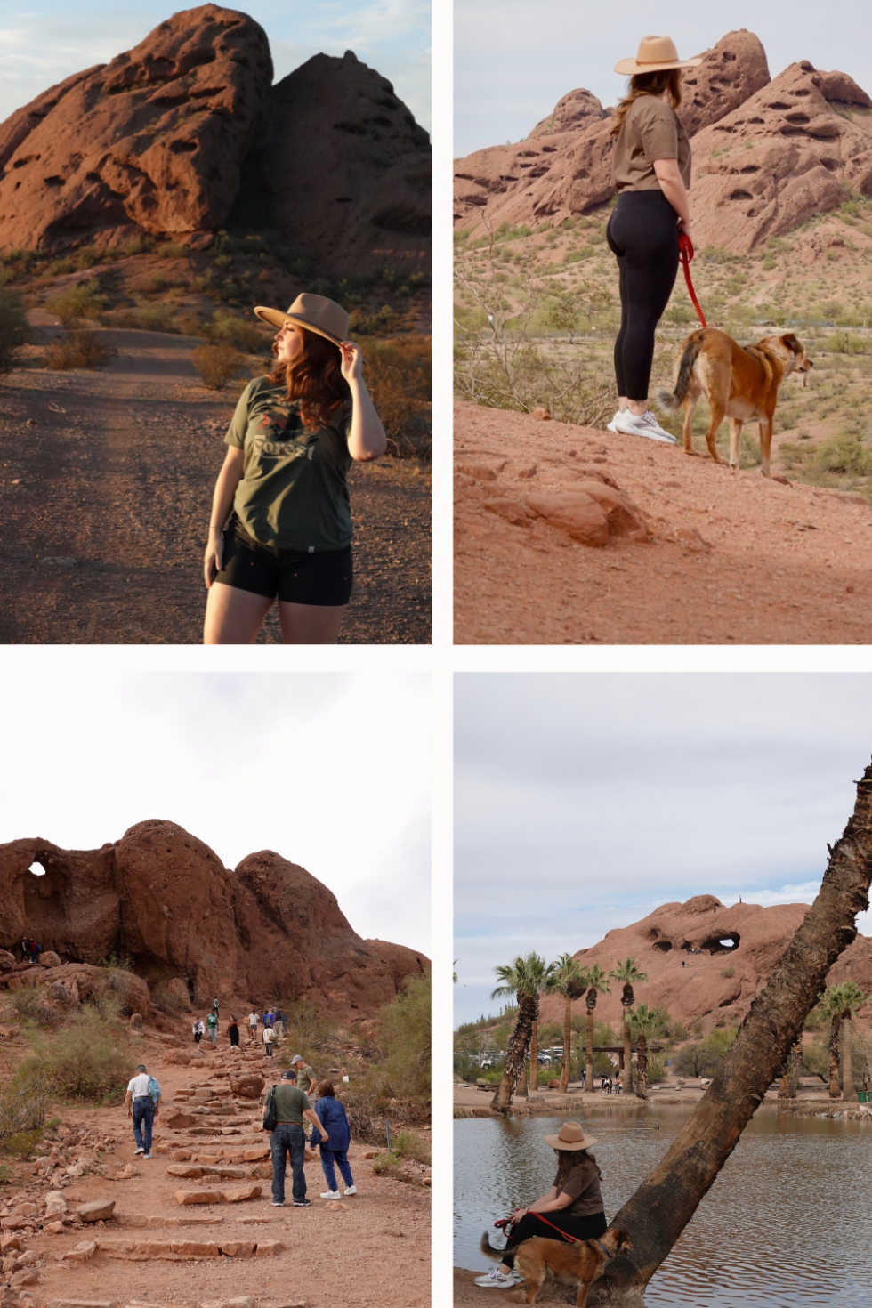 25 Best Hikes in Phoenix: Easy, Moderate & Hard Trails (Local Guide)