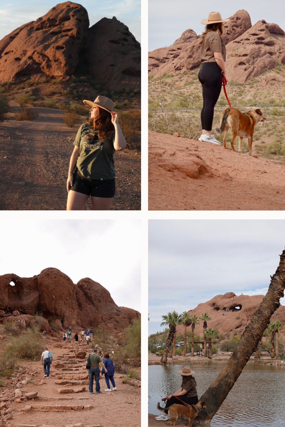 best hiking in tempe- papago park