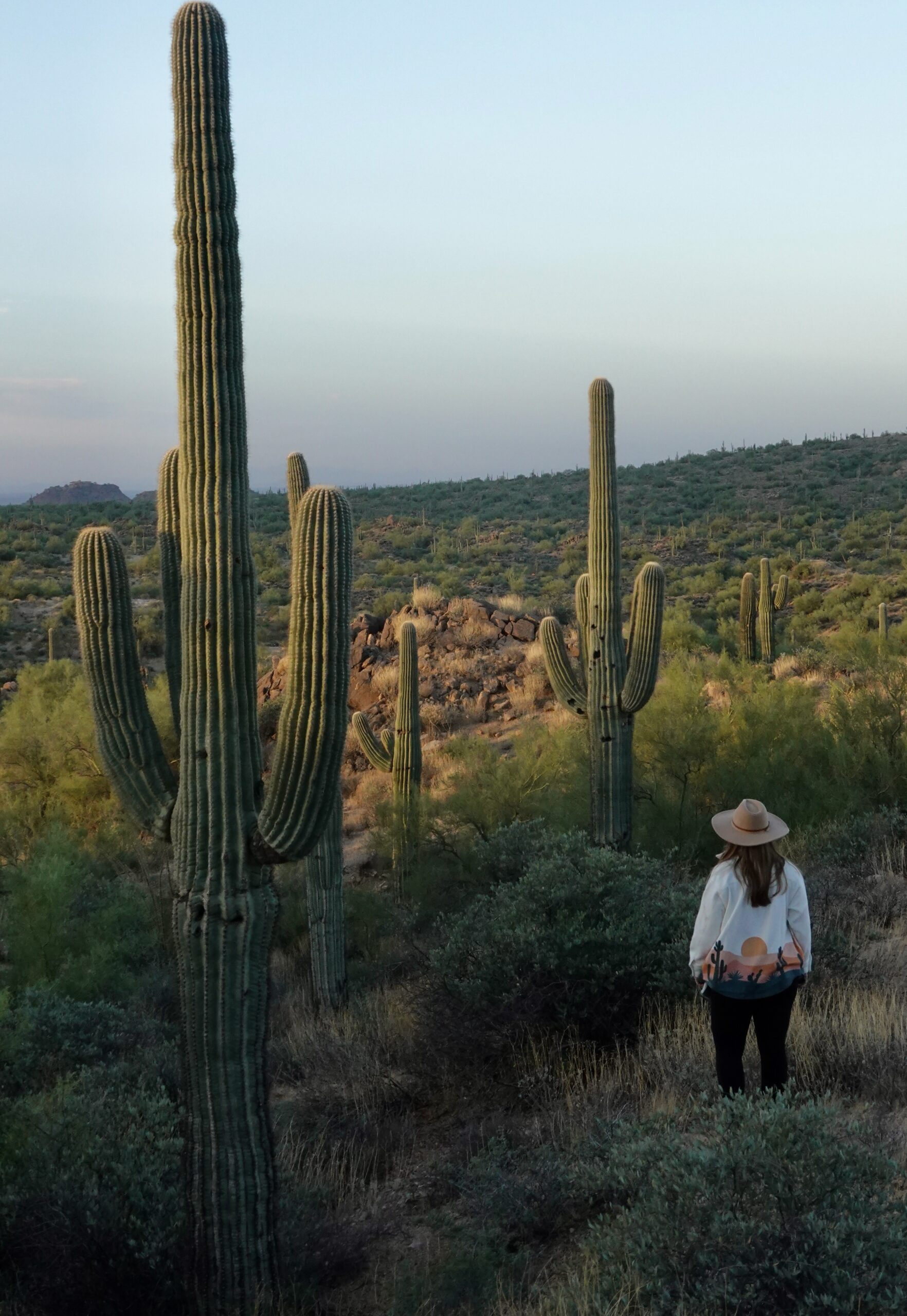 girl standing amongst cactus