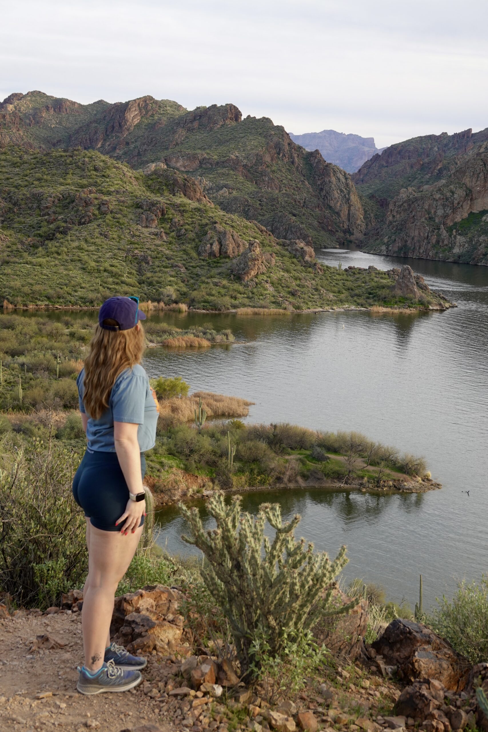 Butcher Jones Trail: A Stunning Lakeside Hike at Saguaro Lake, Arizona