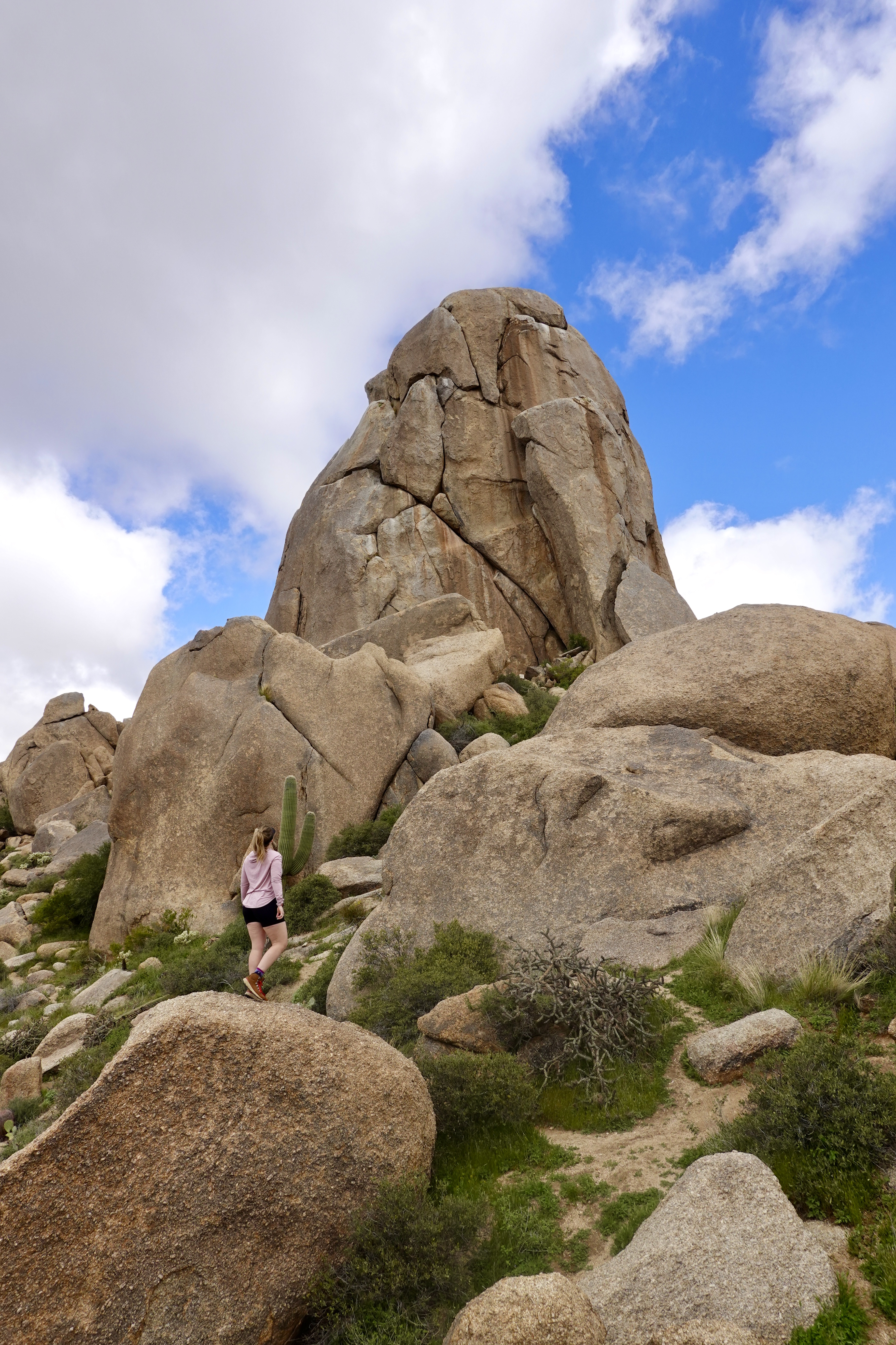 Tom’s Thumb Hike: One of Scottsdale’s Most Stunning Trails