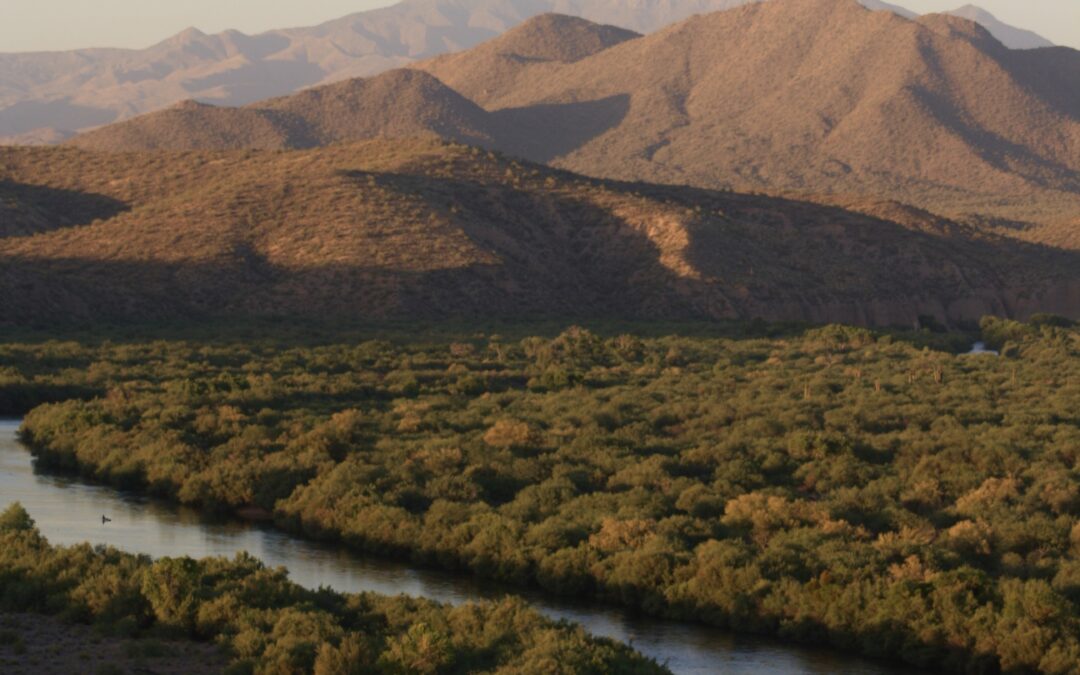 Everything You Need to Know About The Salt River in Arizona