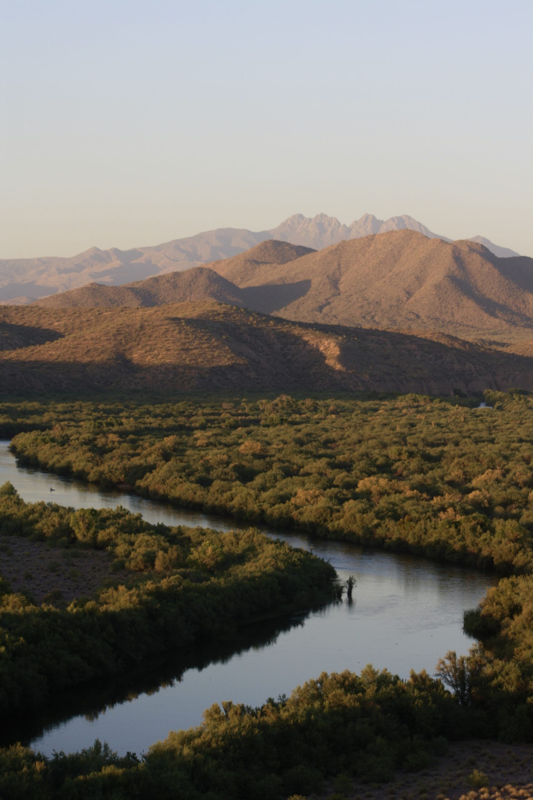 photo of the desert in arizona