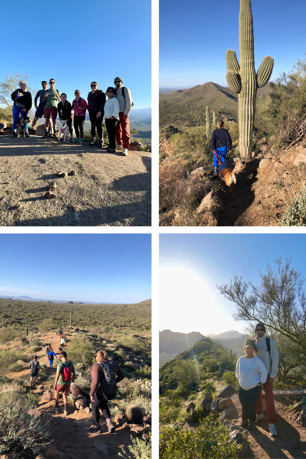 group hike near mesa arizona
