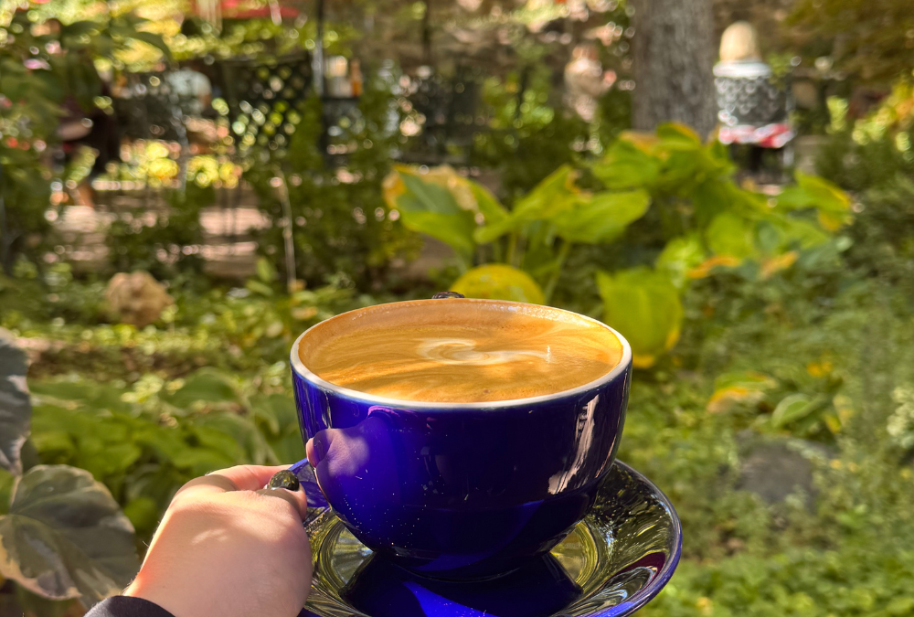 Best Coffee Shops in Sedona