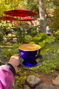 photo of a girl holding out a coffee mug