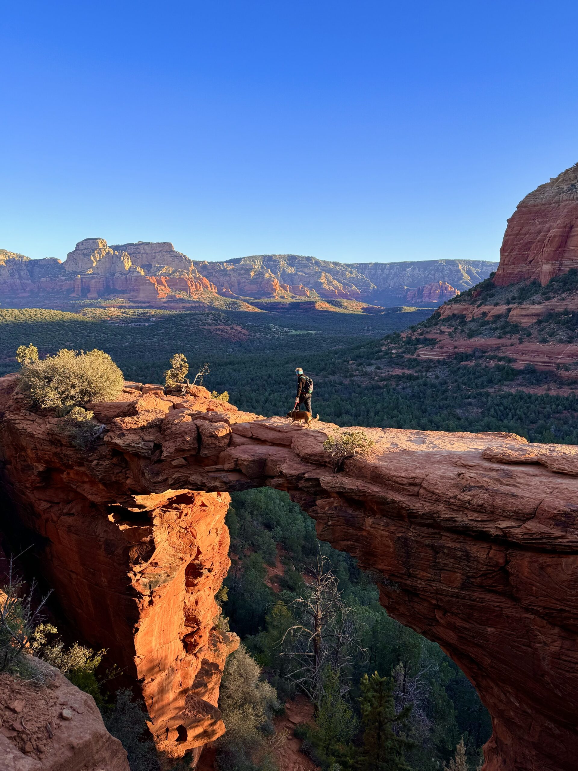 Devils Bridge Sedona- Most Popular Hike for a Reason