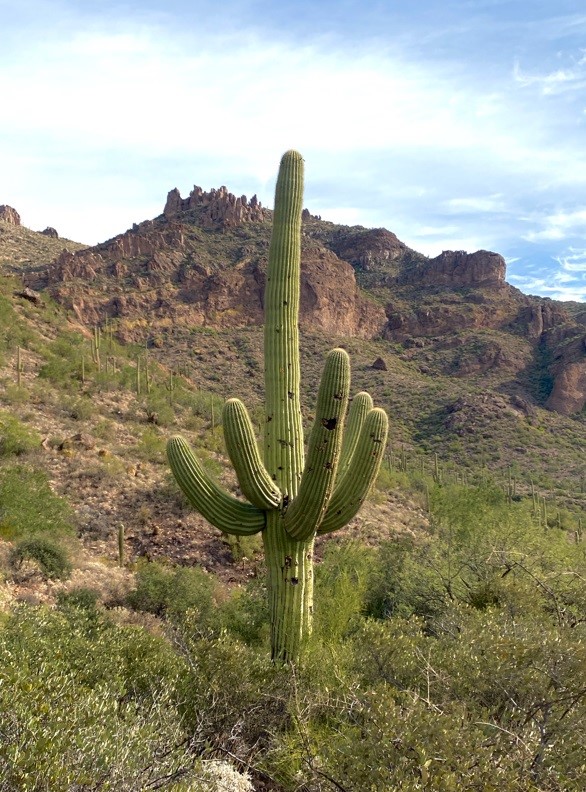 girl in a blue dress with wine leaning on a balcony looking at red mountains