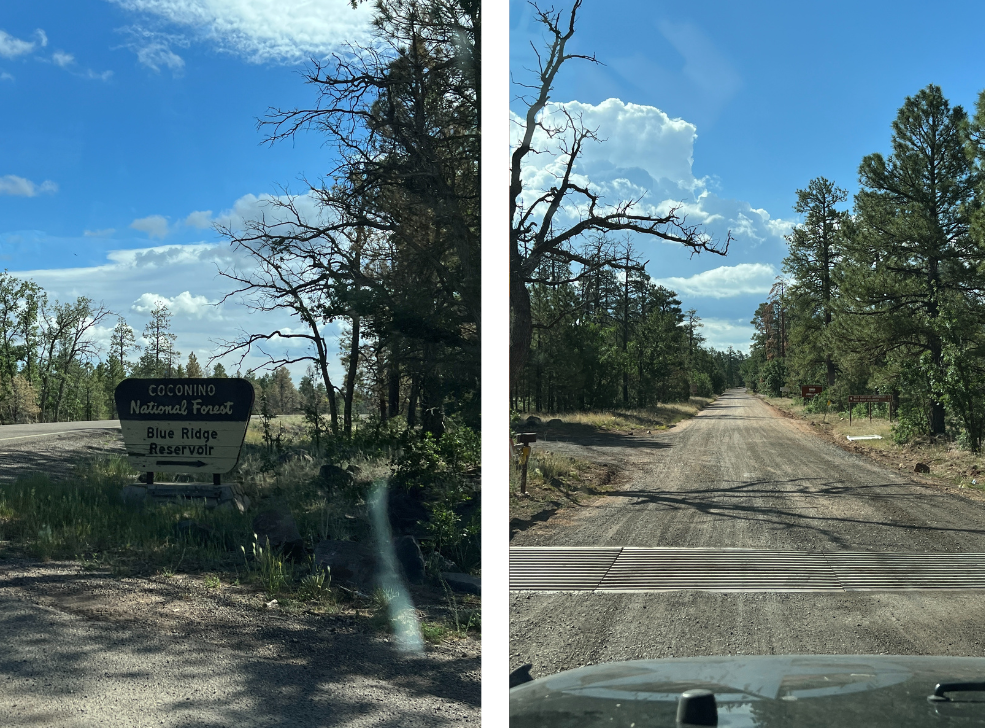 photo of a forest service sign