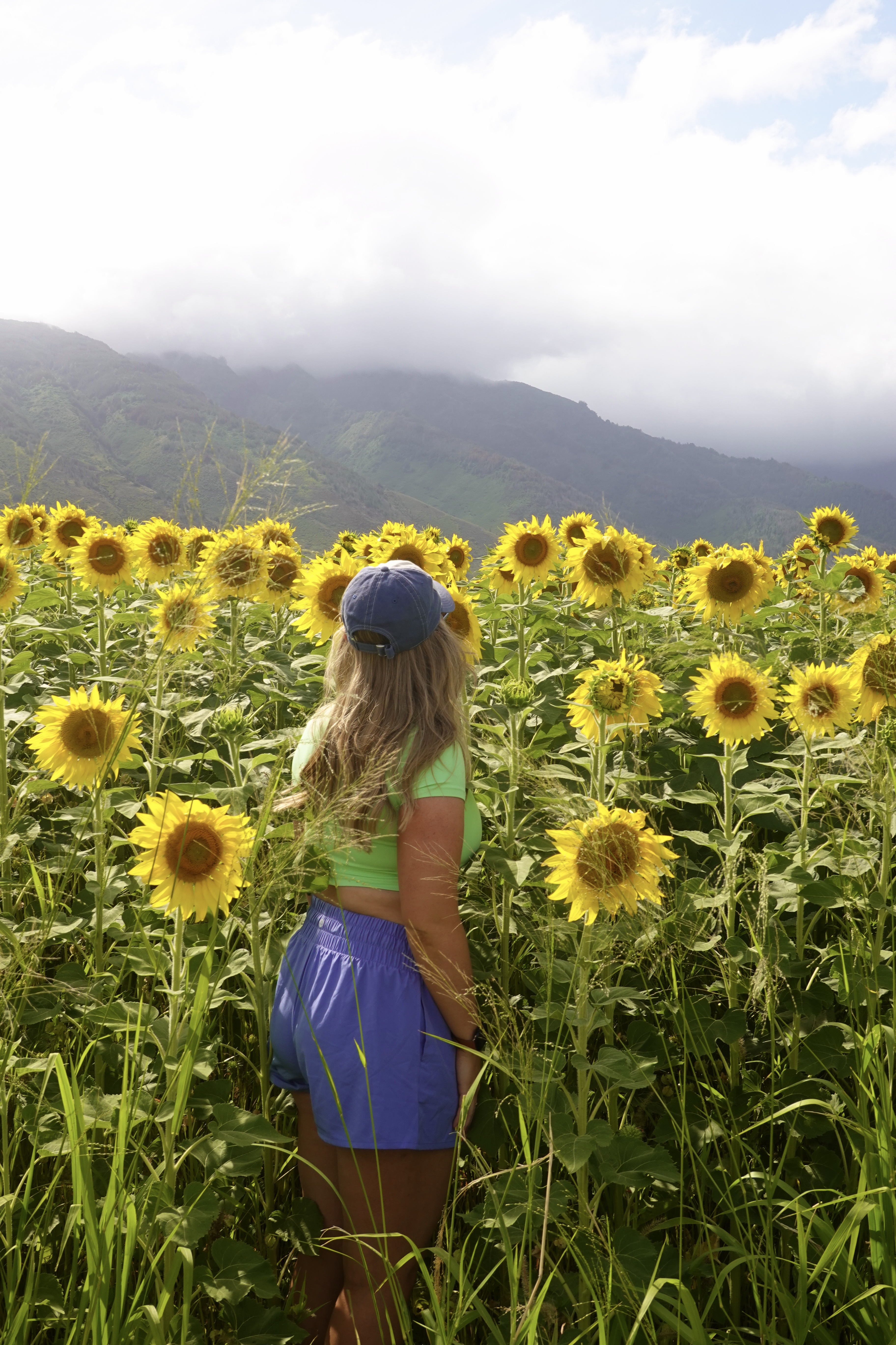 girl in a large sunflower field