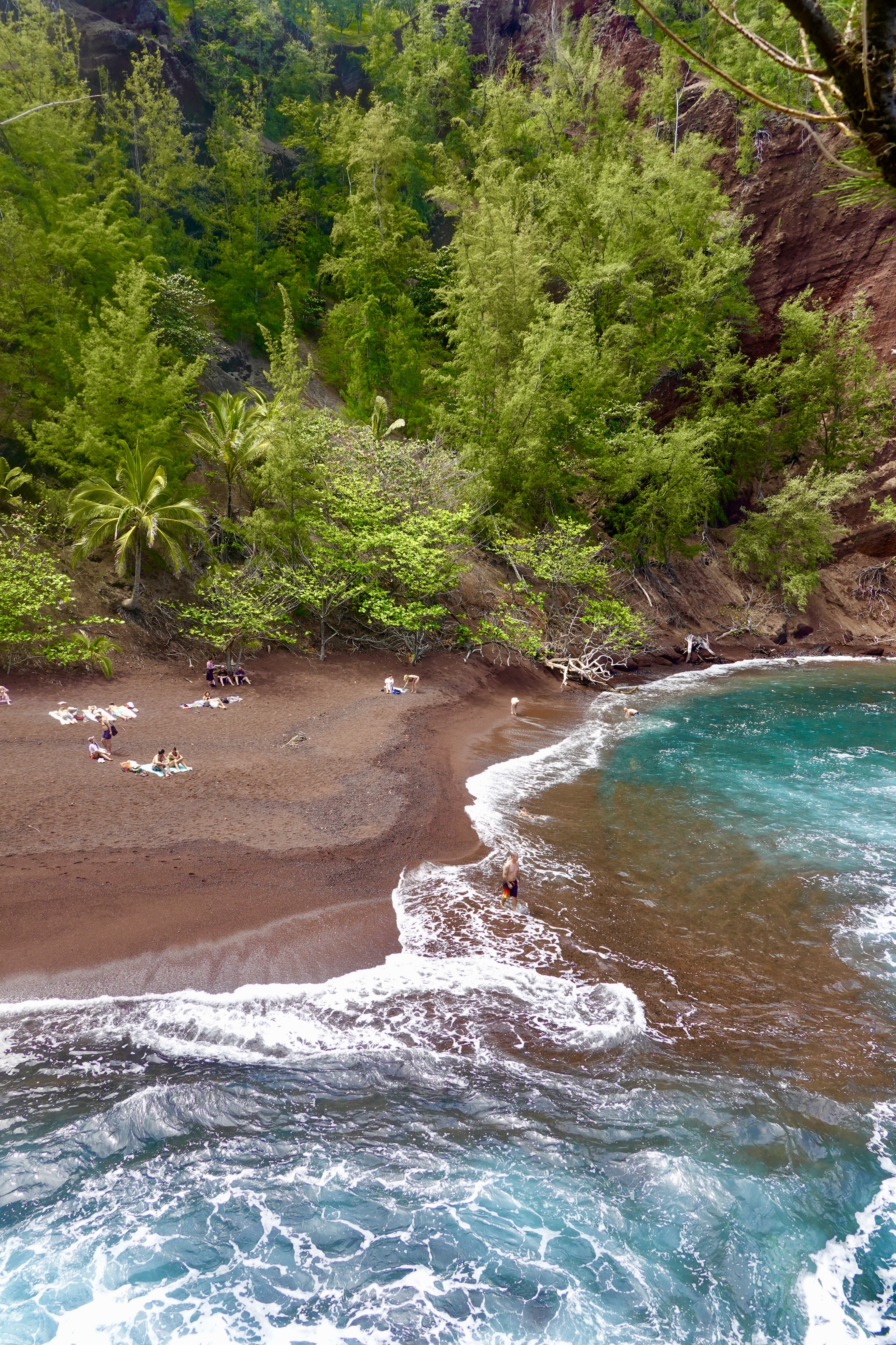 photo of a beach with red colored sand