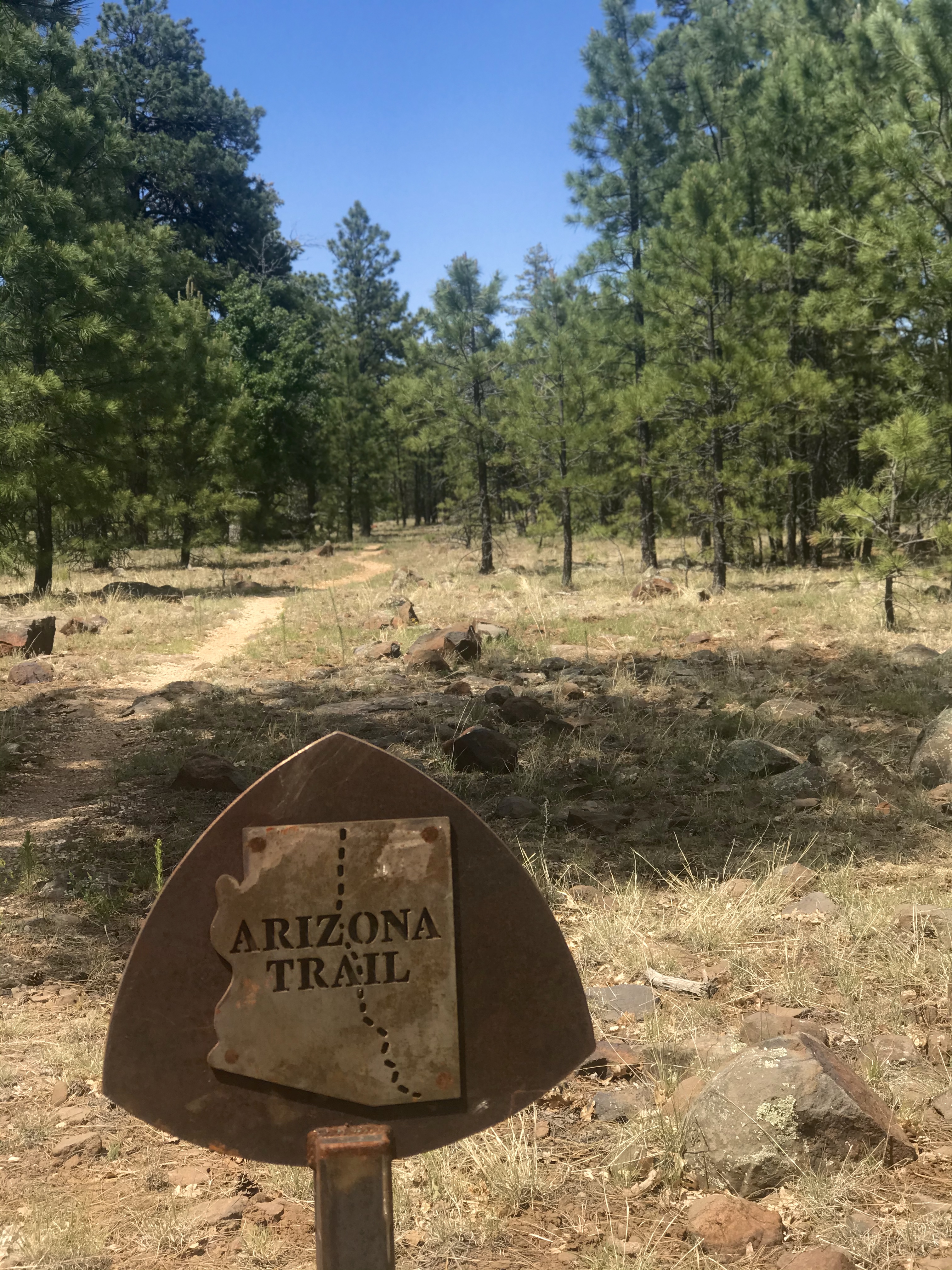 photo of an arizona trail sign in the forest