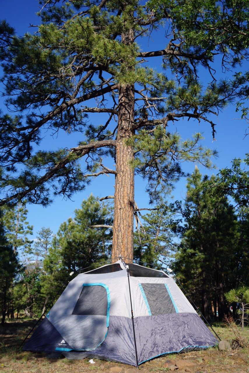 tent camping northern arizona