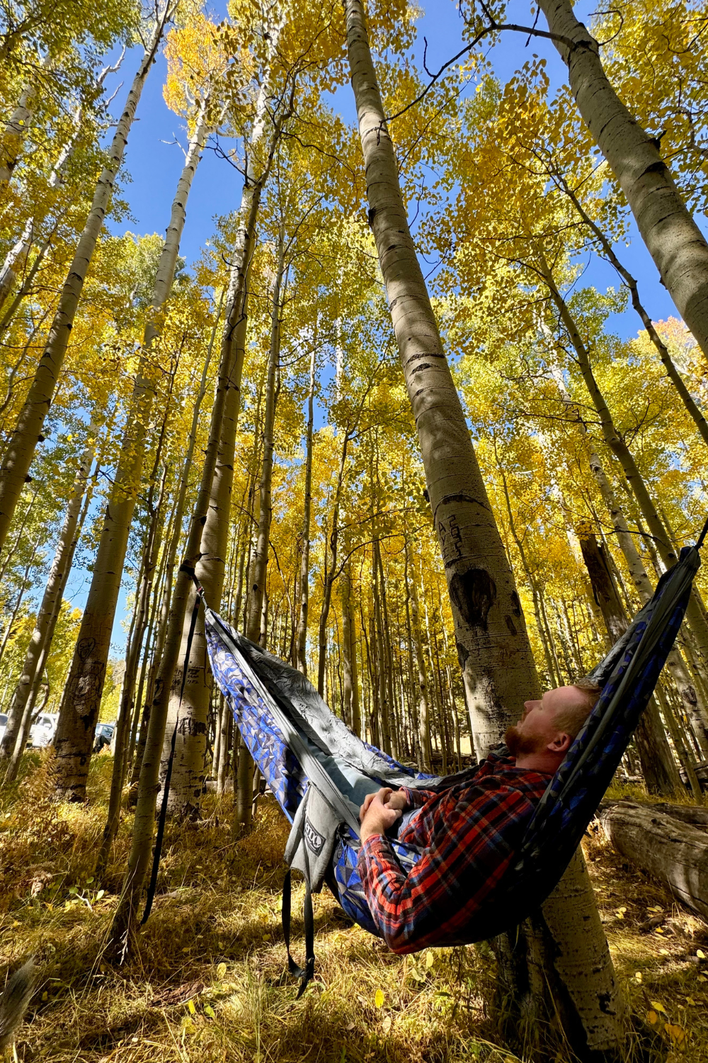 man laying in a hammock during fall in flagstaff