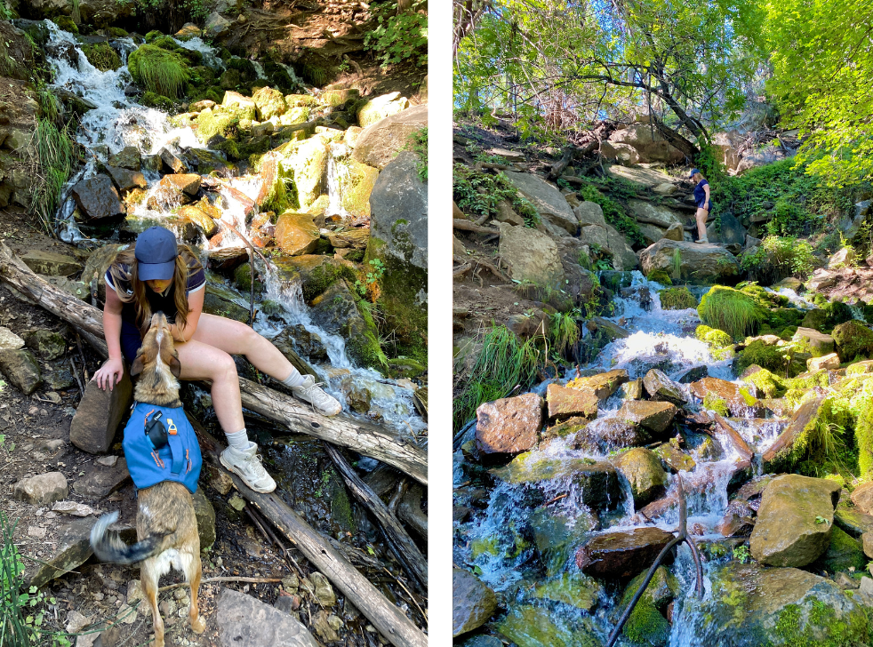 photos of the final part of the horton creek trail