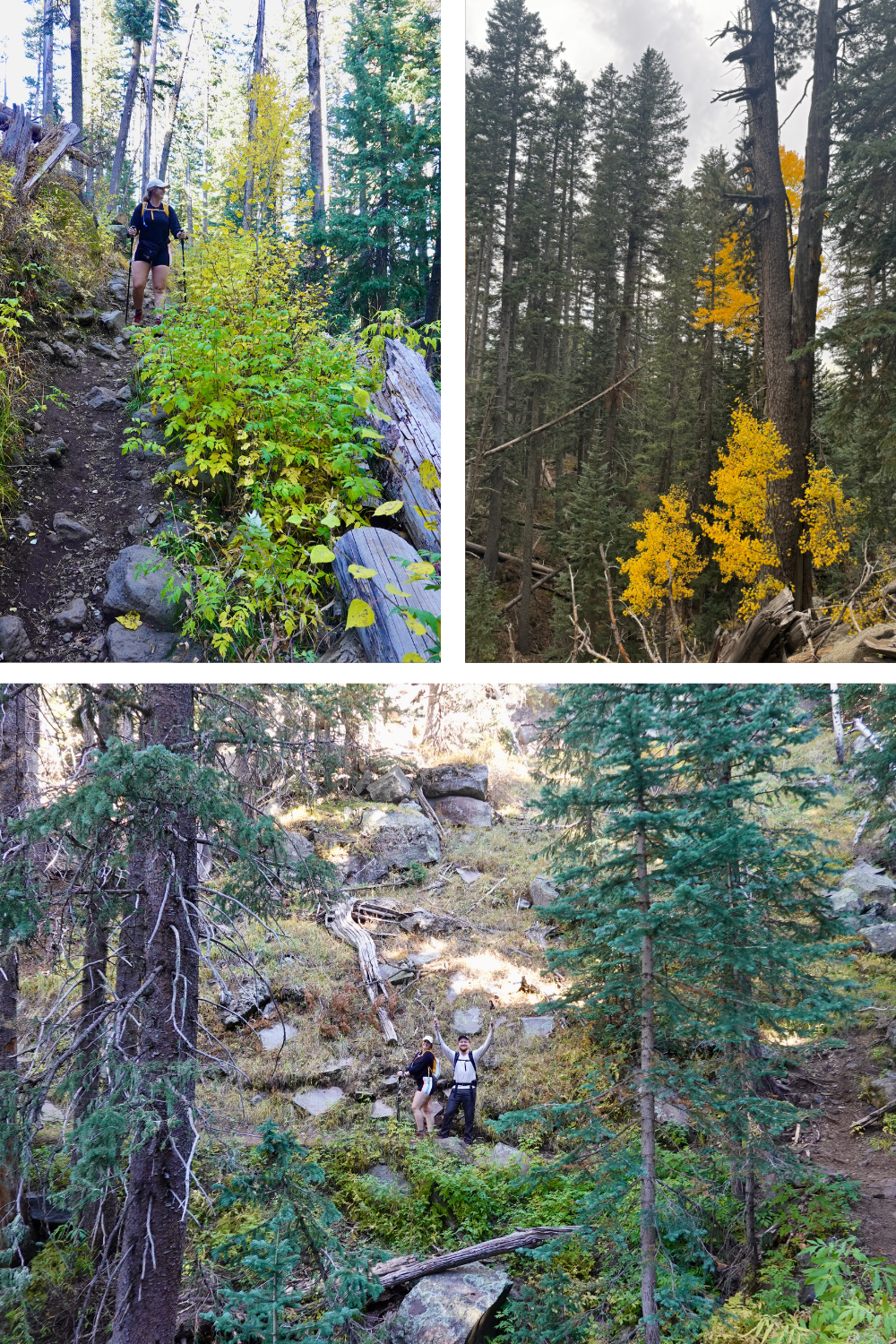 photos of hiking in the forest