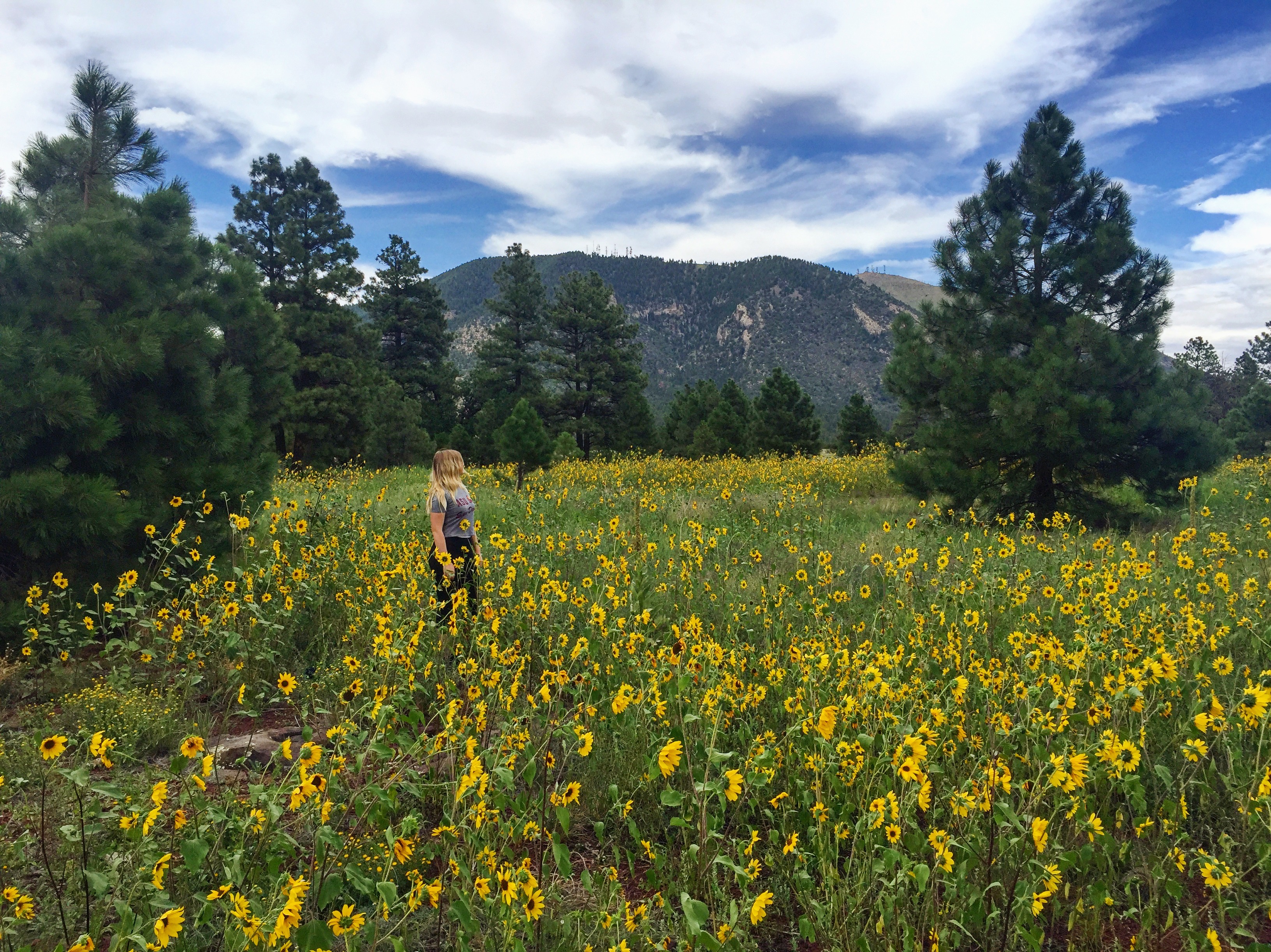 girl in a field of flowers in the mountains