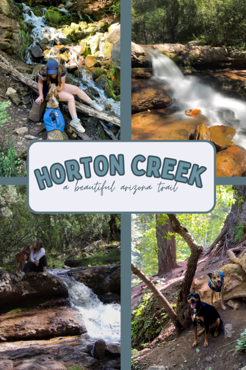 Hiking the Horton Creek Trail Near Payson, Arizona