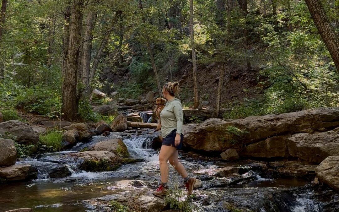 Horton Creek Trail Near Payson, Arizona: Hike Guide