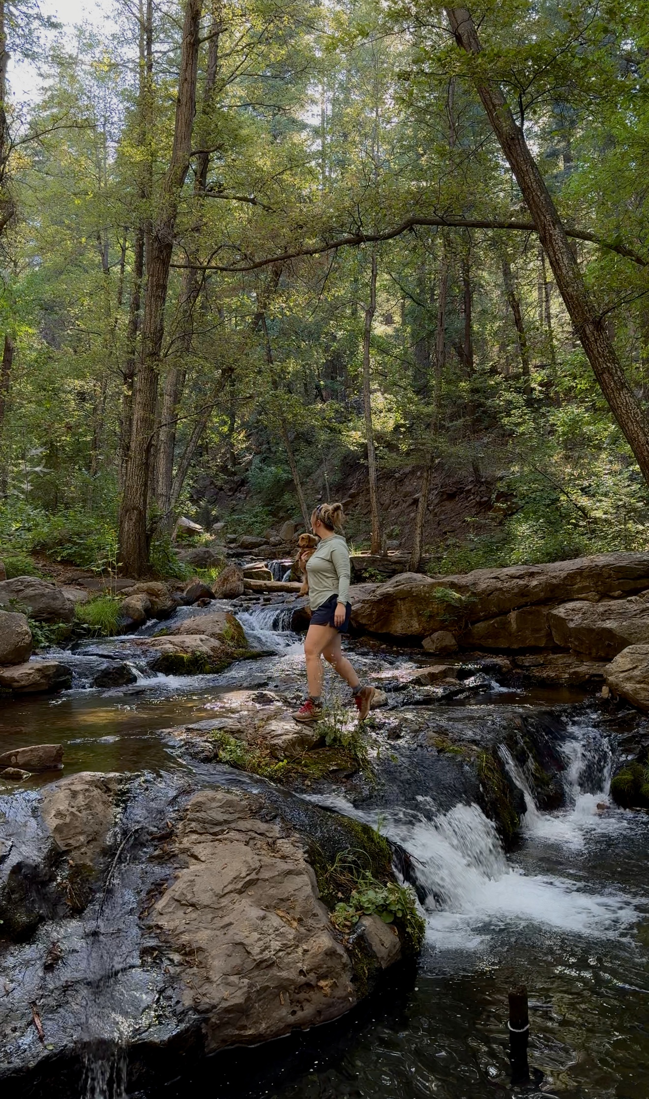 Horton Creek Trail Near Payson, Arizona: Hike Guide