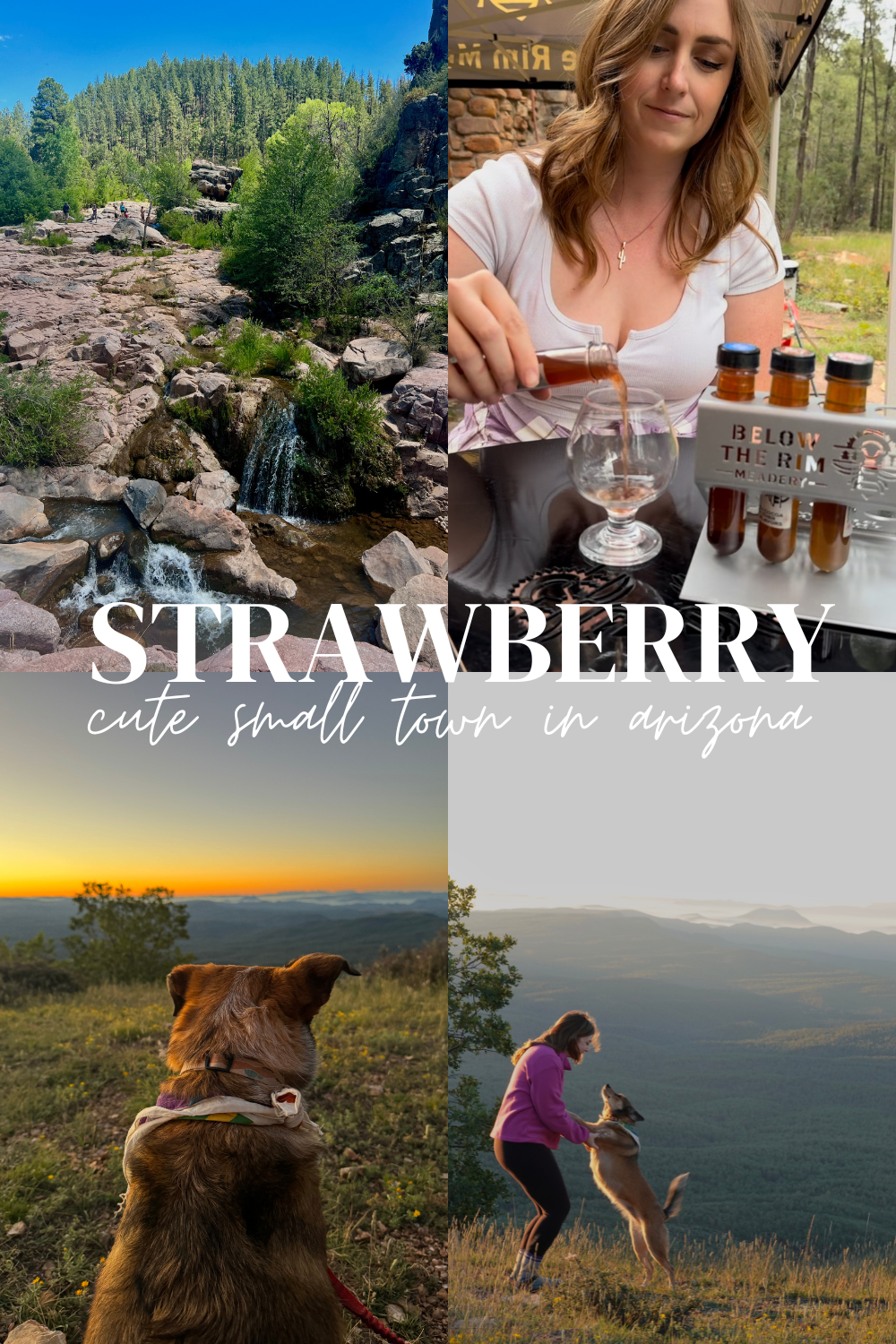 photos of strawberry arizona