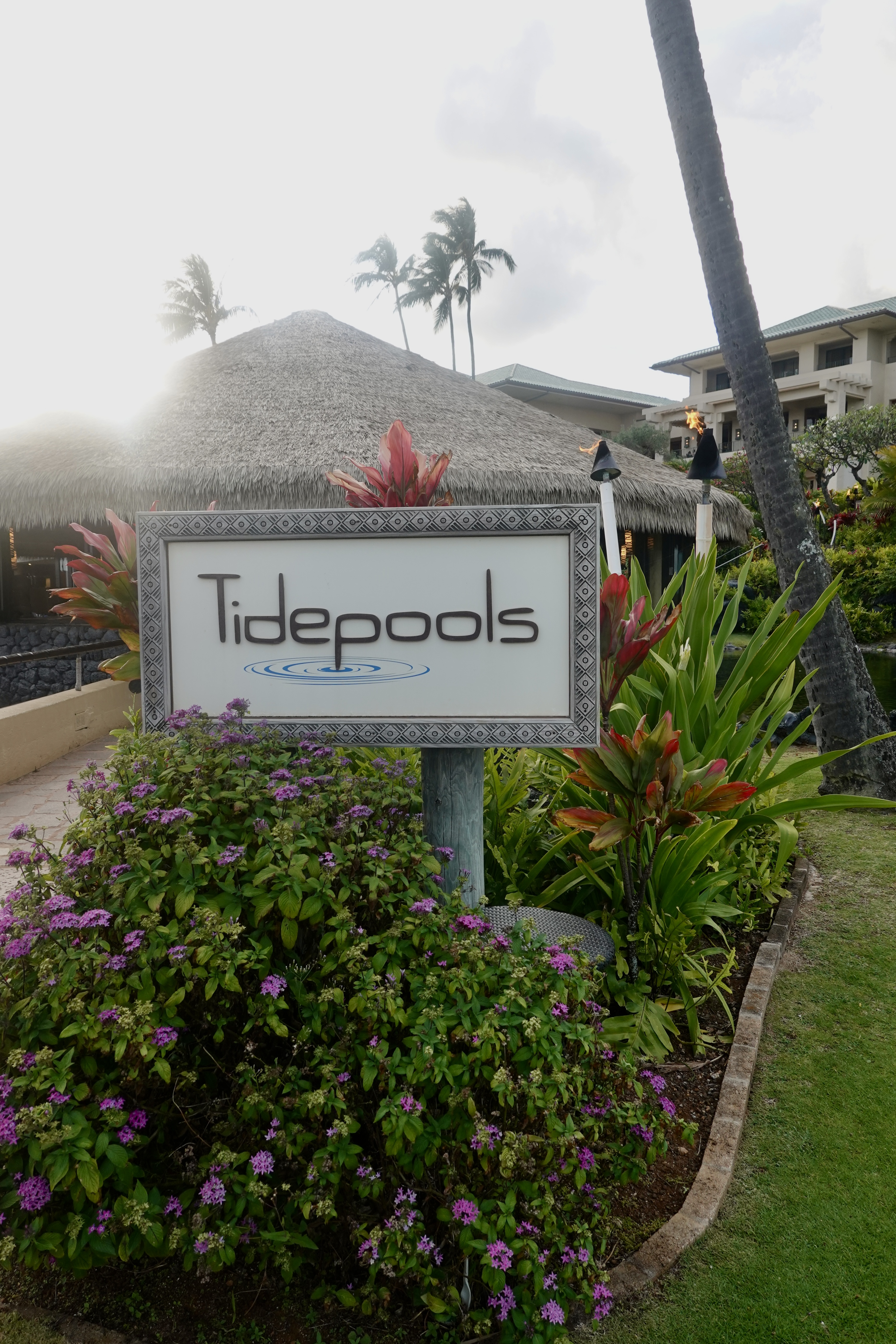 Tidepools sign- resort restaurant