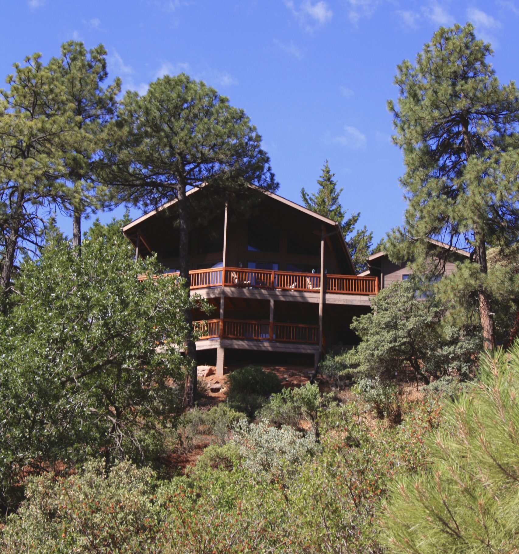cabin in pine arizona