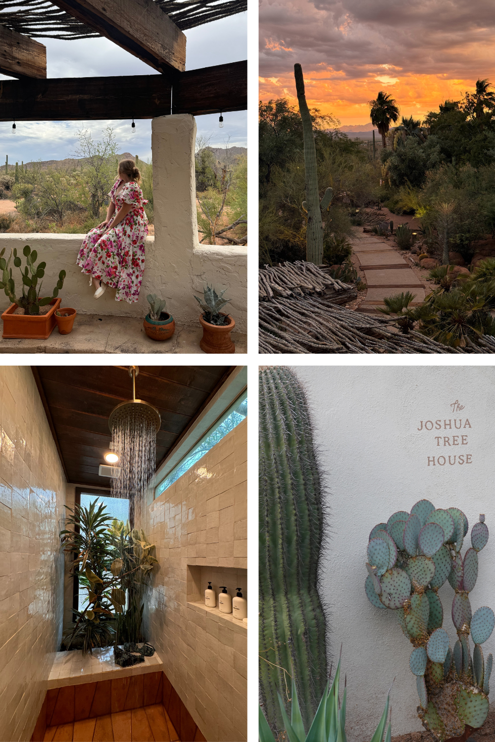 photos of a unique stay in tucson arizona in the desert