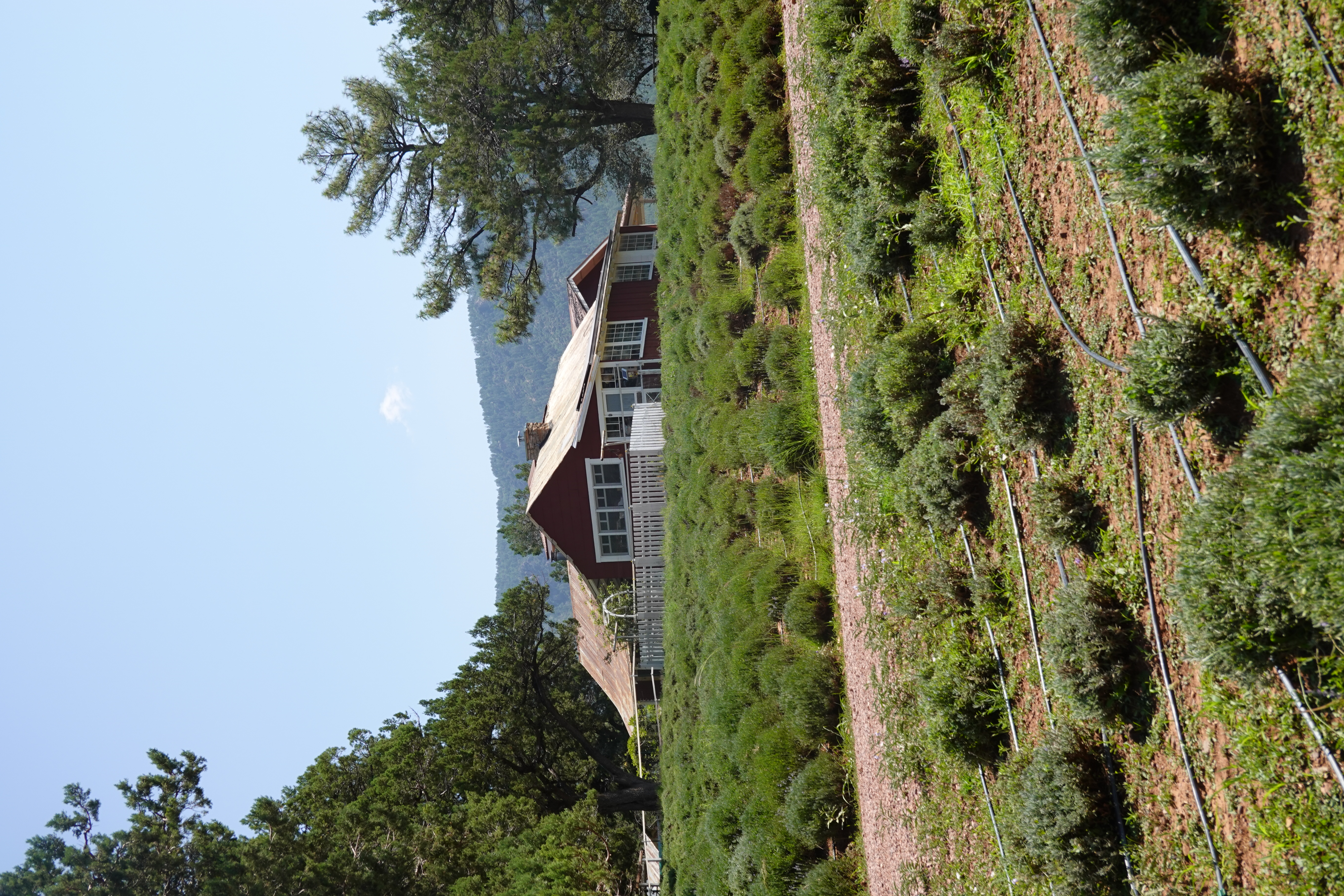 Red Farm on Rolling Hills