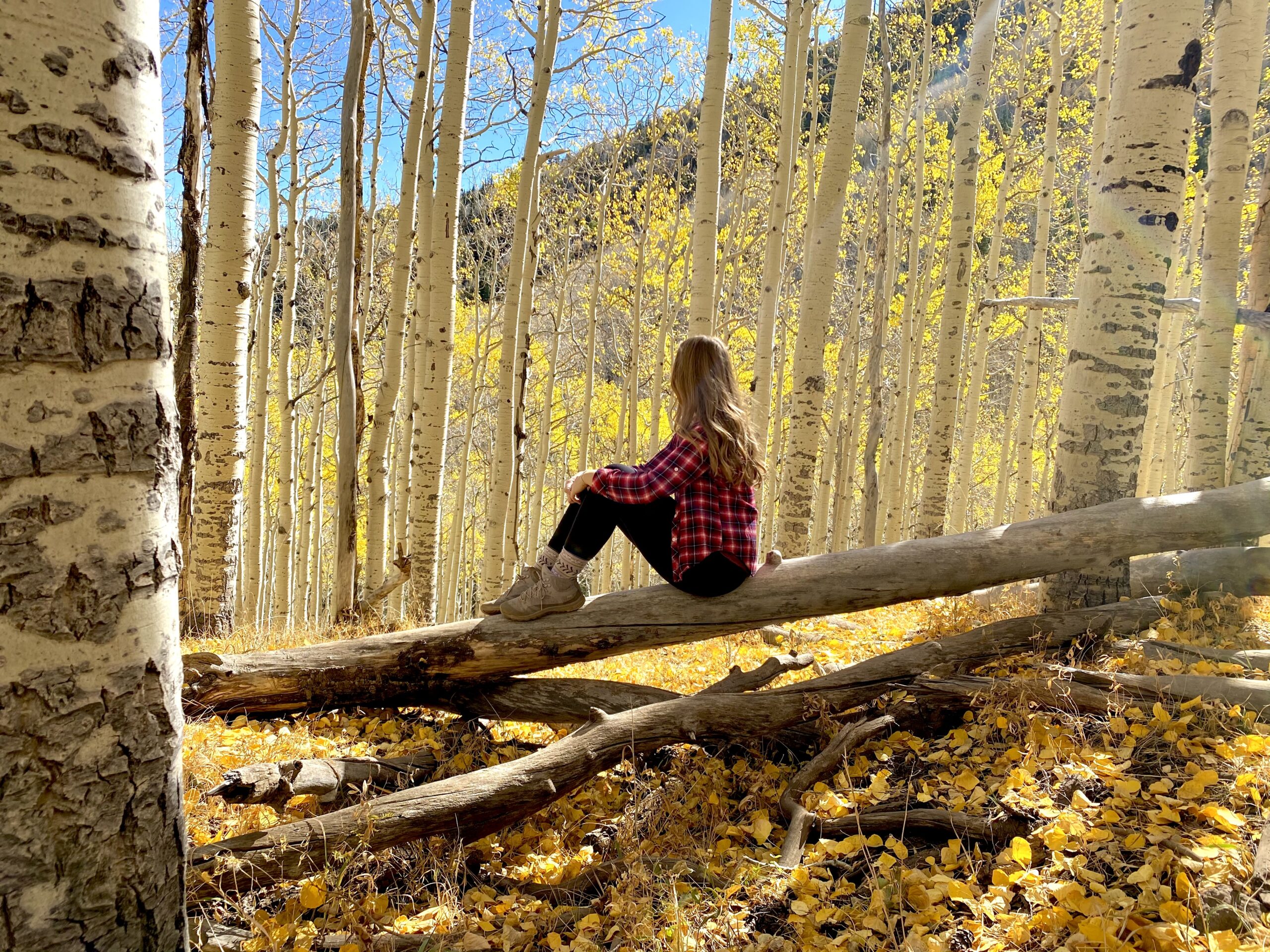 girl on a tree within lockett meadow