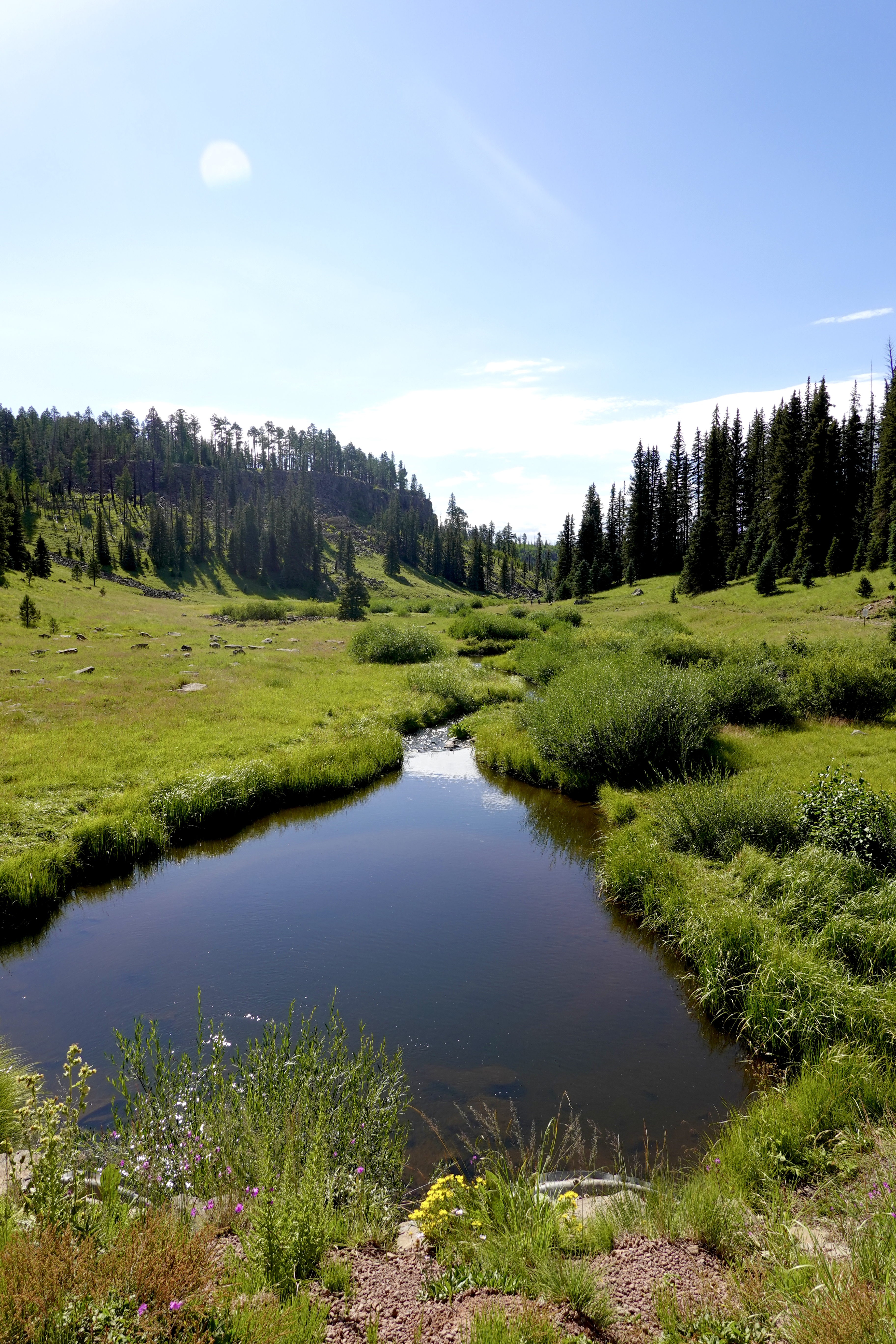 beautiful landscape photo of a green lush hike in arizona