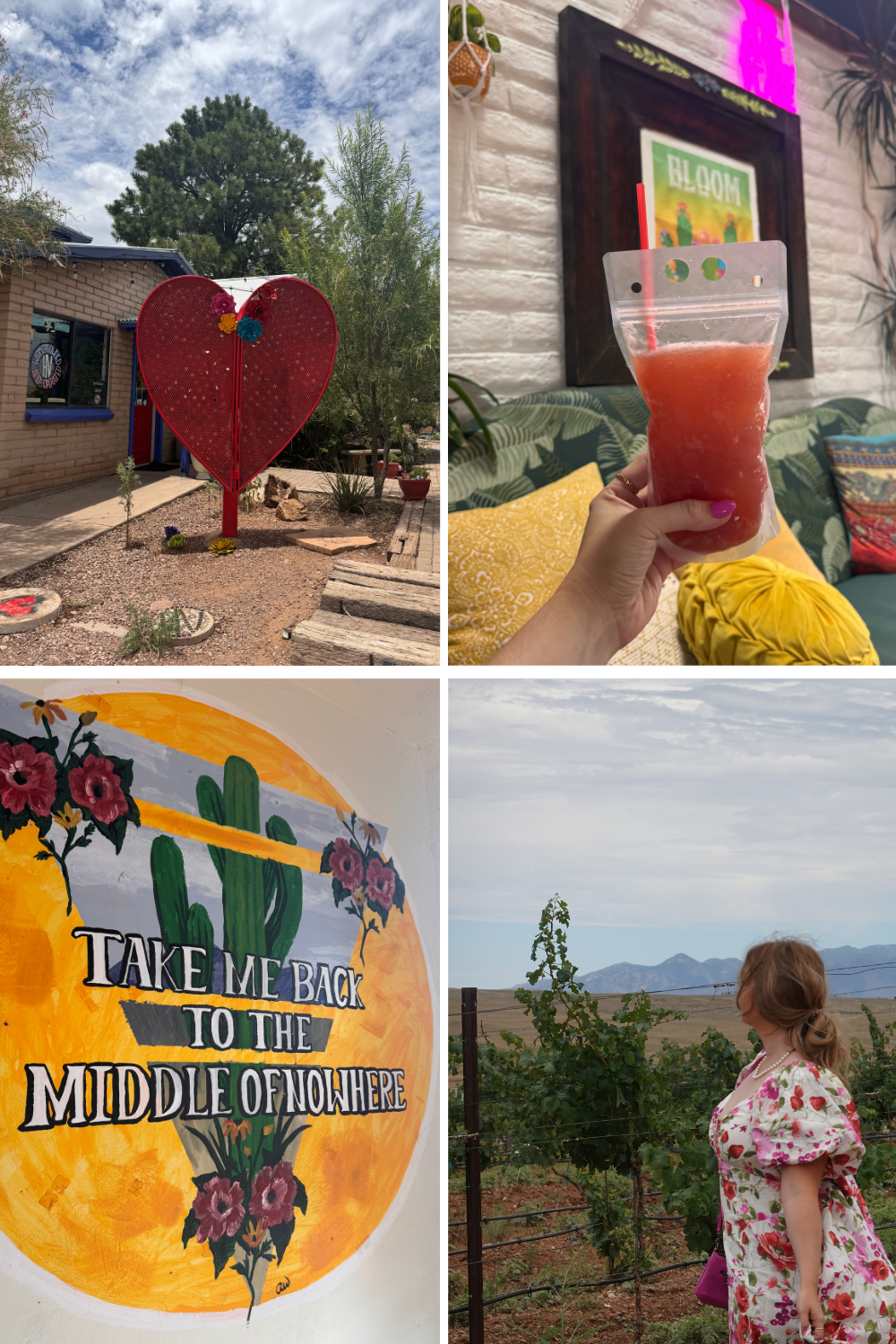 photos of a girl at a winery in arizona