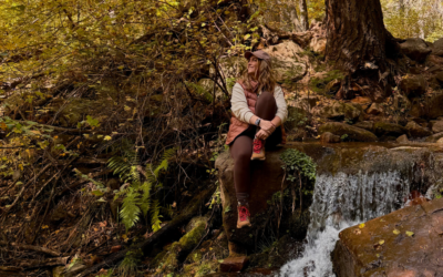 See Spring Trail Arizona: Easy Fall Hike Near Payson