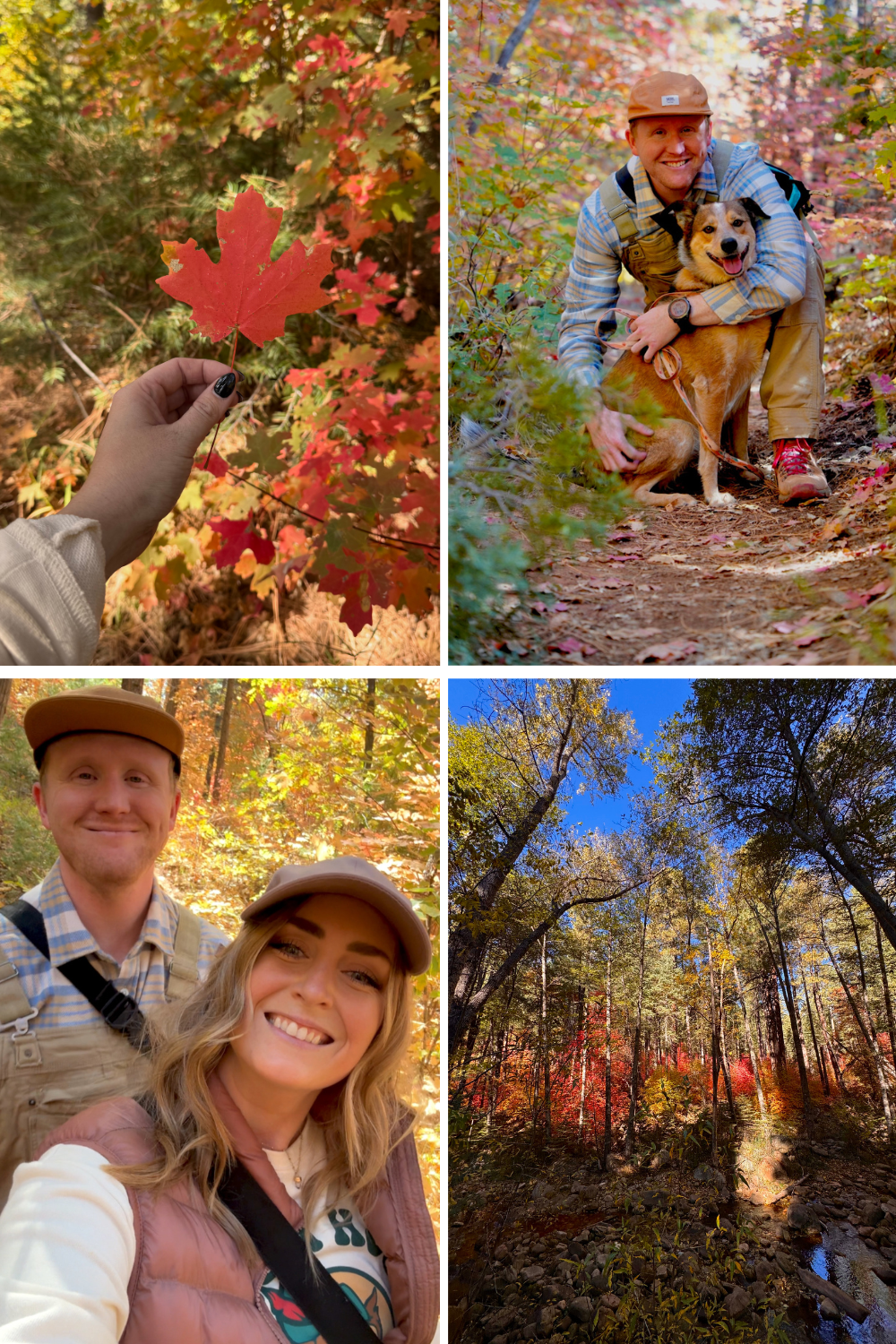 photos of a fall hike in arizona