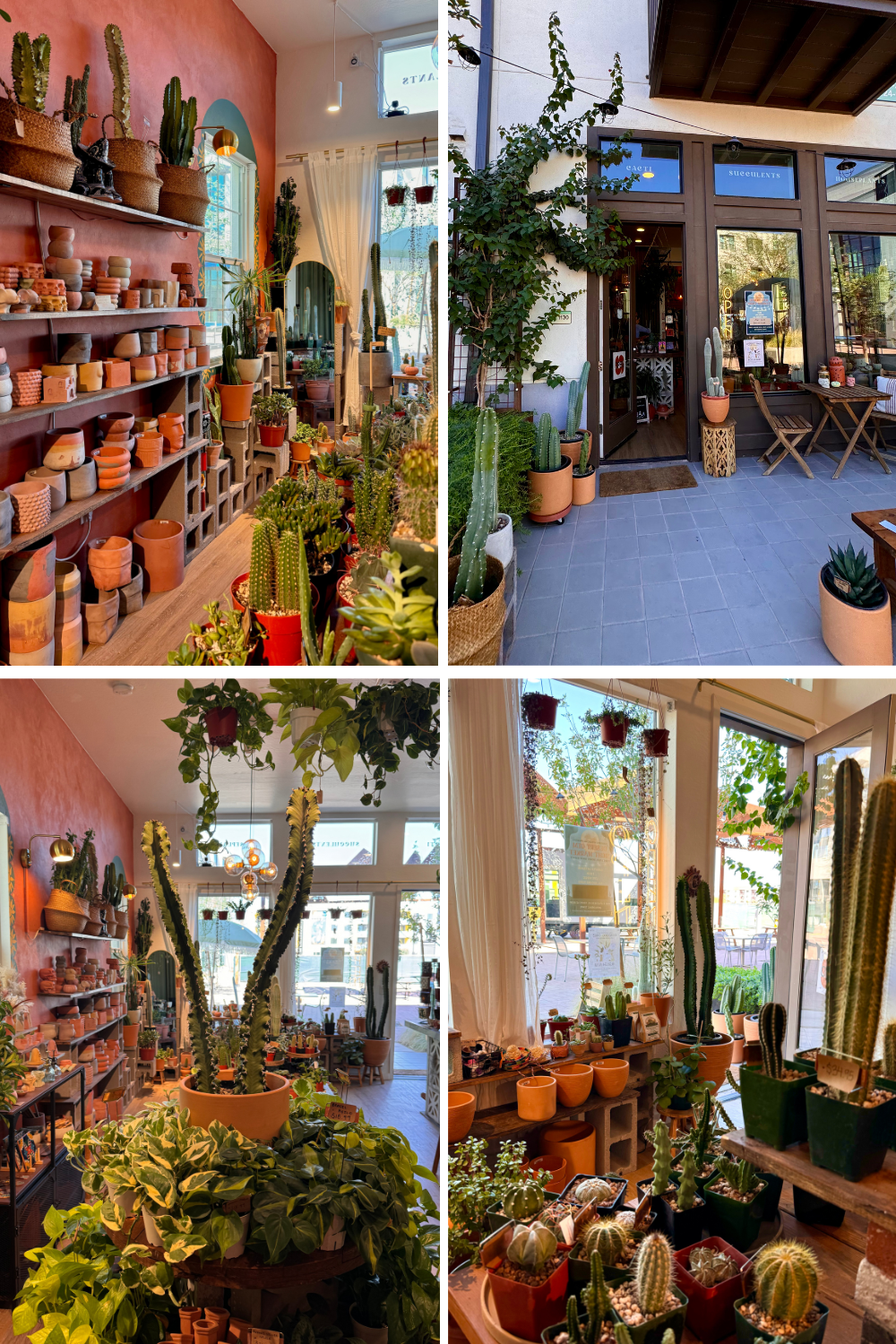 photos of a plant and gift shop in phoenix