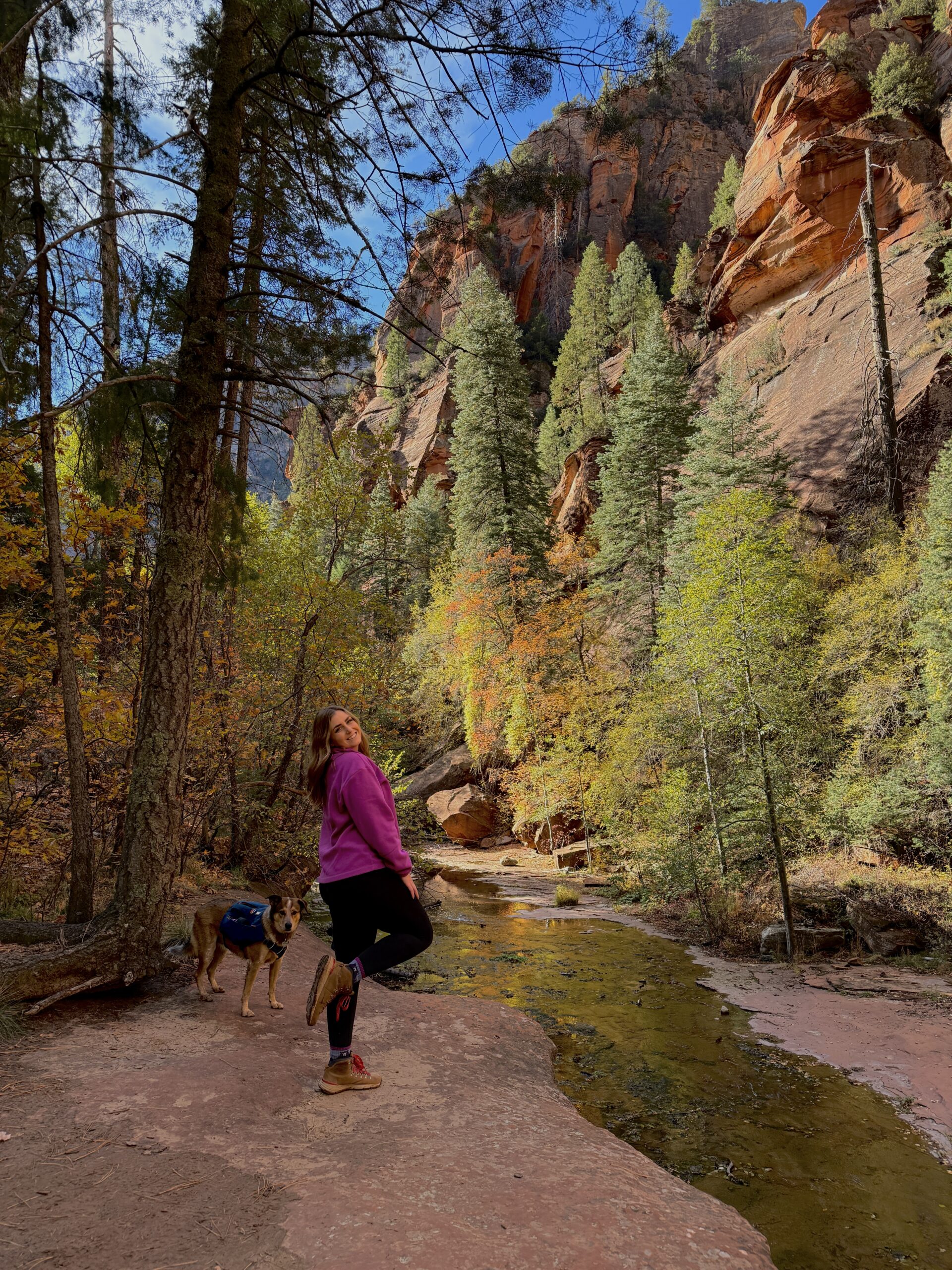 Woman in a pink hoodie and dog standing on a rocky path in a forested canyon. Tall pine trees, colorful autumn leaves, and red cliffs surround them.