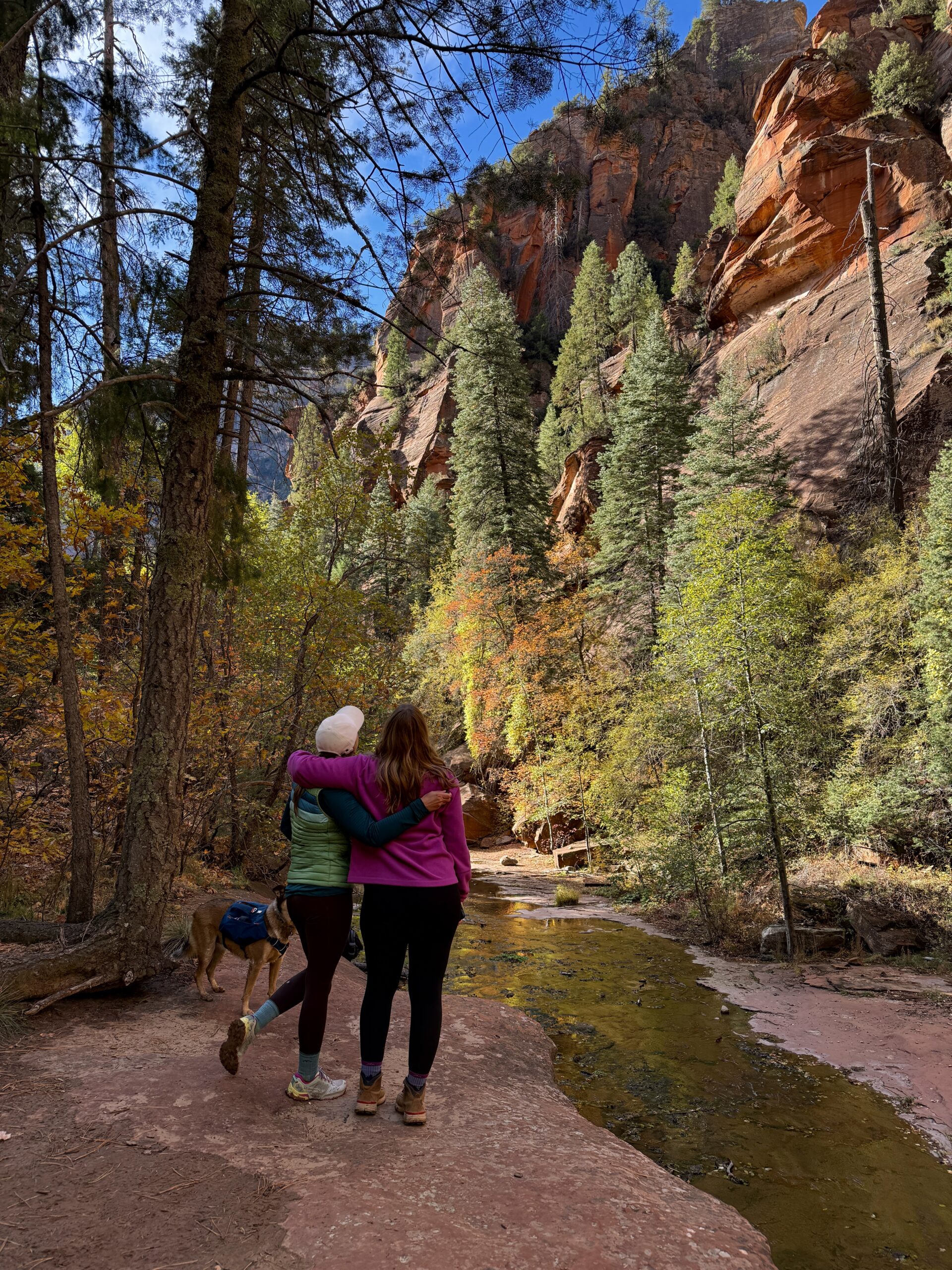 Two people standing on a rocky path, embracing, surrounded by tall trees and autumnal foliage. A dog stands nearby. The mood is peaceful and intimate.