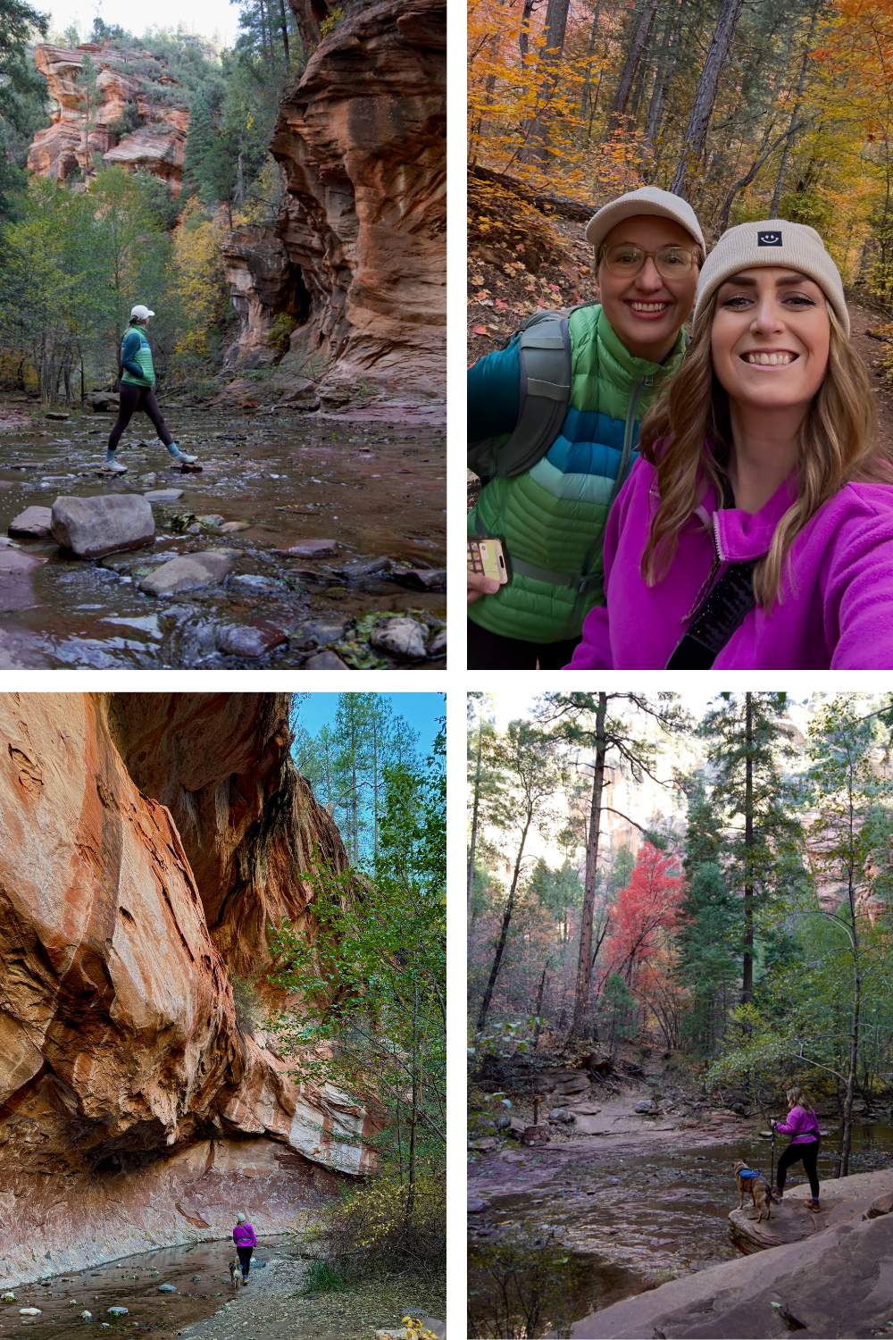 Collage of four hiking scenes featuring autumnal forest, towering rock formations, and a stream. Two people smile for a selfie; a dog joins the adventure.