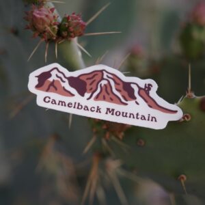 Sticker of Camelback Mountain on a cactus with spines and buds.