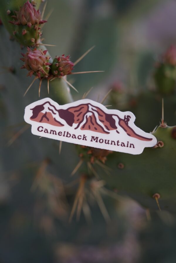 Sticker of Camelback Mountain on a cactus with spines and buds.