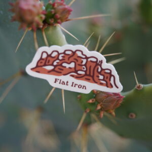 Sticker reading "Flat Iron" on a cactus pad with spines and buds.