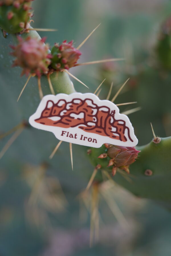 Sticker reading "Flat Iron" on a cactus pad with spines and buds.