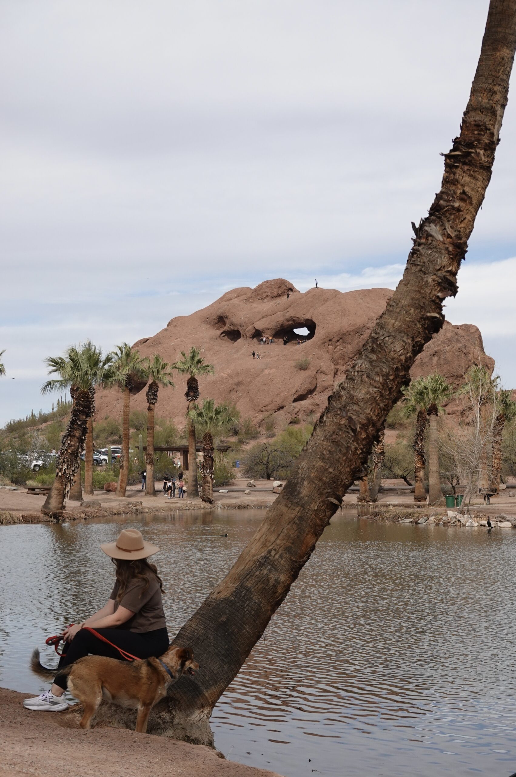 Best Things to Do in Phoenix in 2026