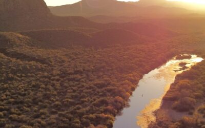 Salt River Tubing: Use the Company or Go on Your Own?