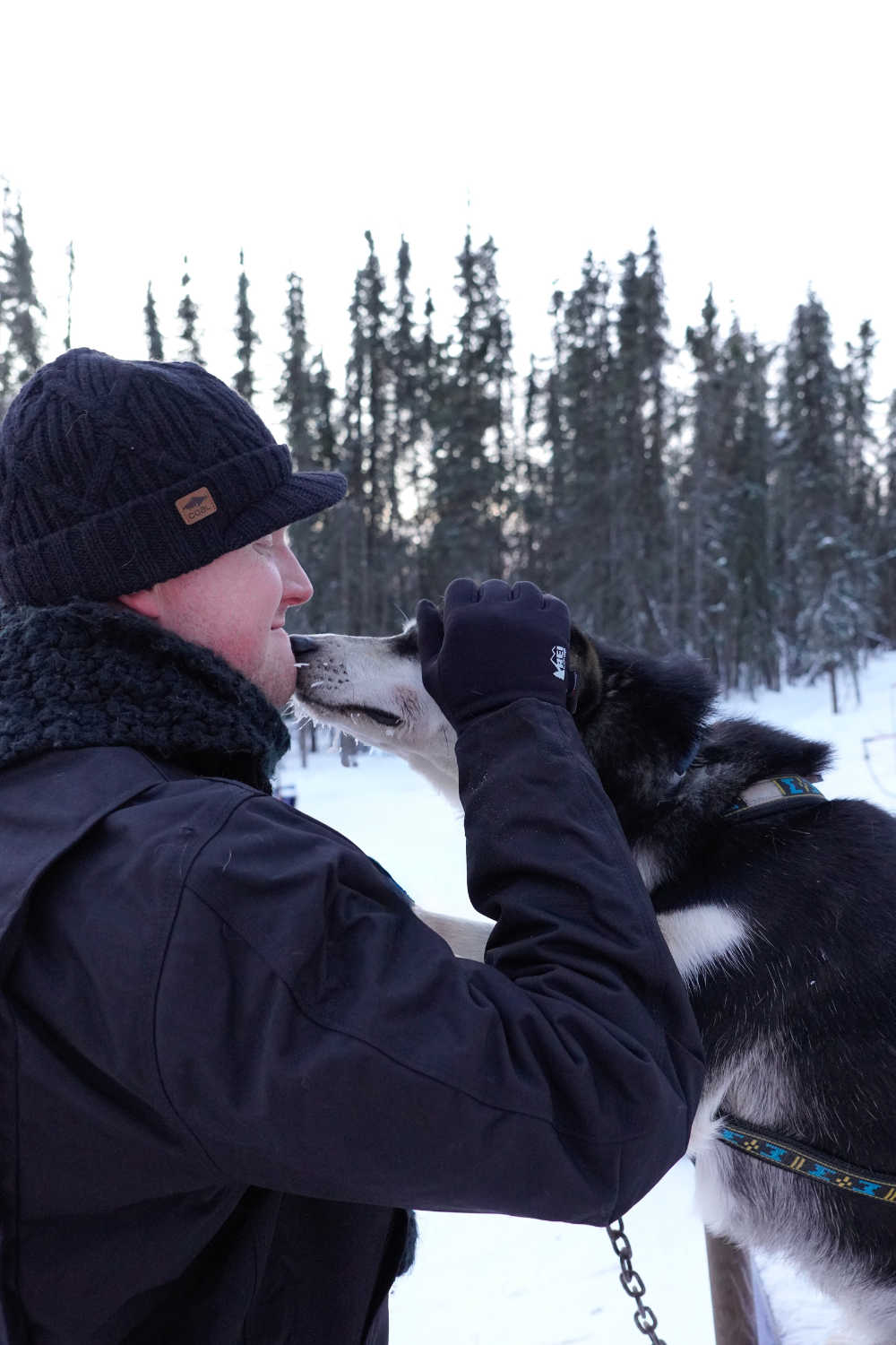 Person in winter clothing interacting with a black and white dog in a snowy forest.