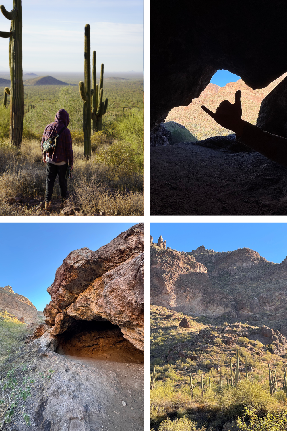 Collage of desert landscapes with cacti, a cave, and mountains.