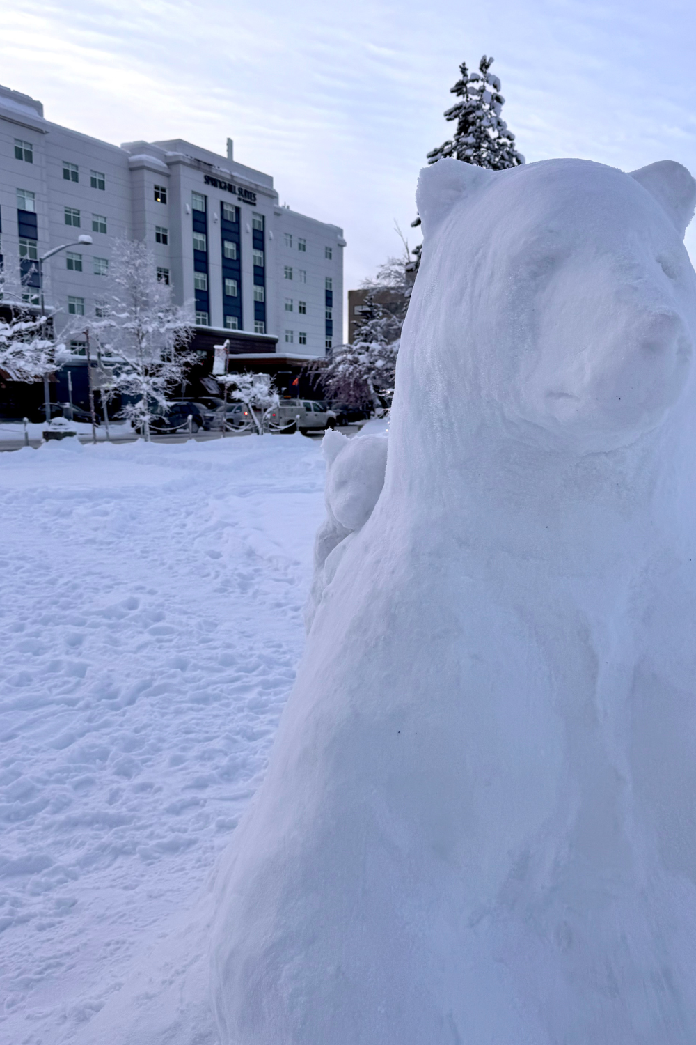 photo of a n ice polar bear in front of a hotel