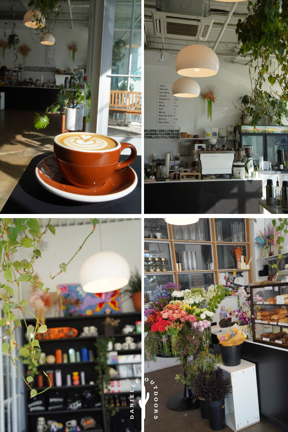 beautiful photos of a coffee shop with plants and flowers