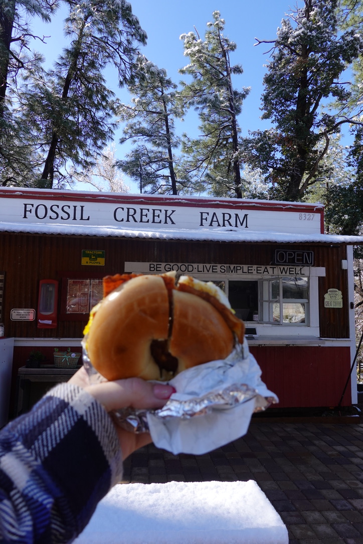 Fossil Creek Farm photo of someone holding up a bagel in front of a shop called fossil creek farm