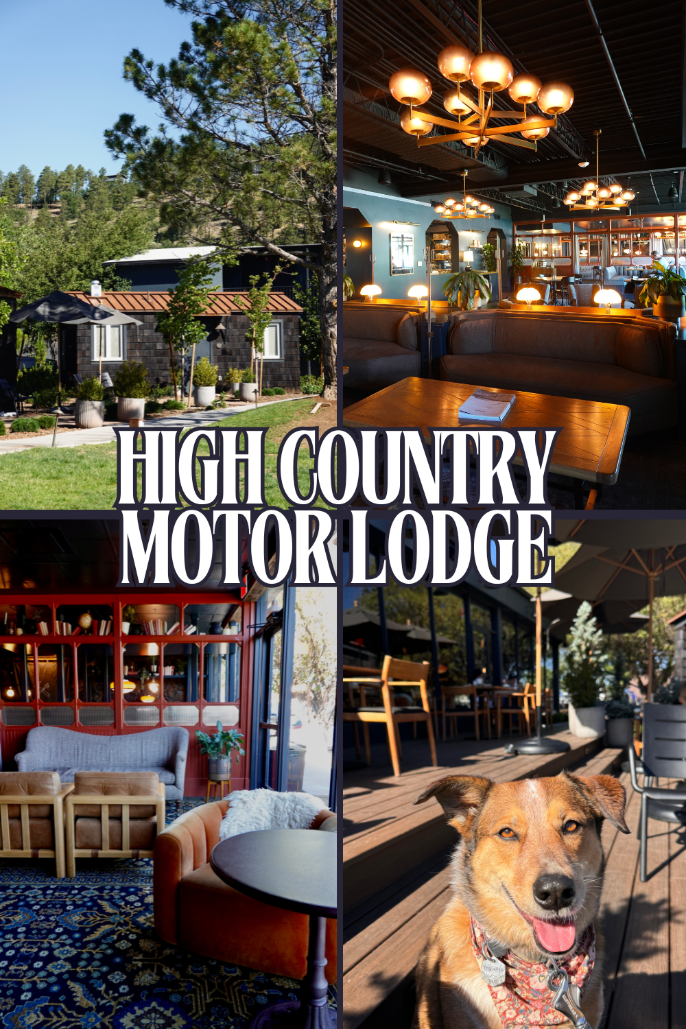 high country motor lodge photos of high country motor lodge a beautiful boutique hotel in flagstaff